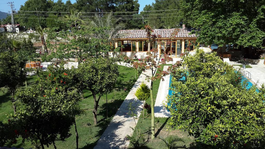 Sedir Palas Hotel Чирали Екстер'єр фото
