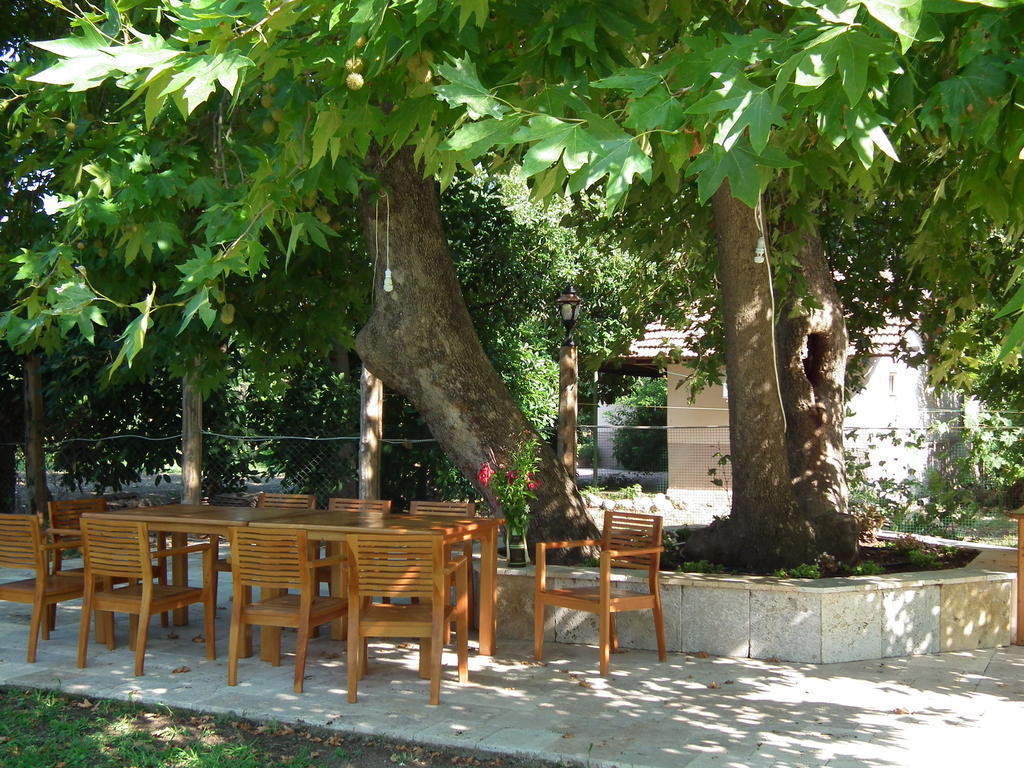 Sedir Palas Hotel Чирали Екстер'єр фото